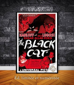 The Black Cat (1934) poster - BGM